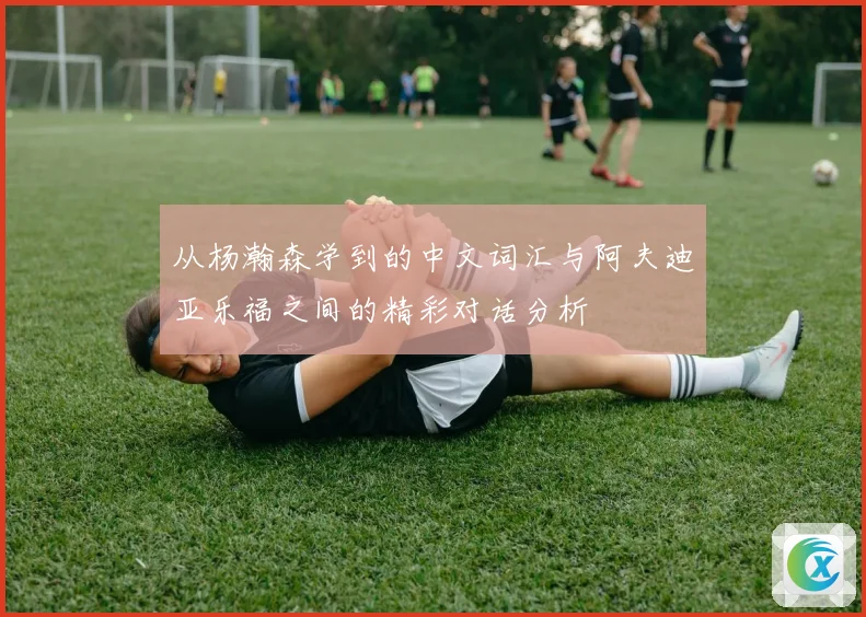 从杨瀚森学到的中文词汇与阿夫迪亚乐福之间的精彩对话分析