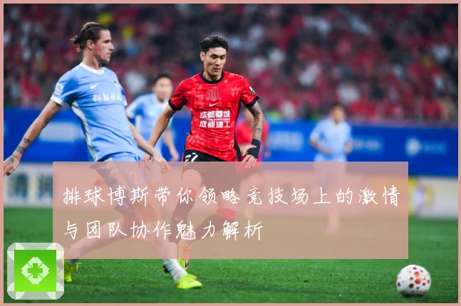 排球博斯带你领略竞技场上的激情与团队协作魅力解析