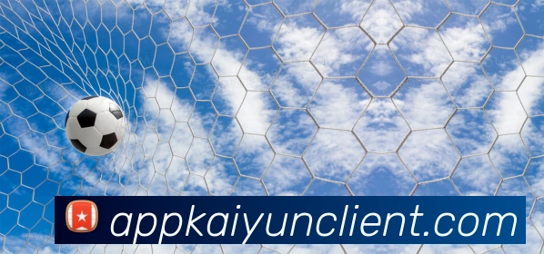 开云平台展示图